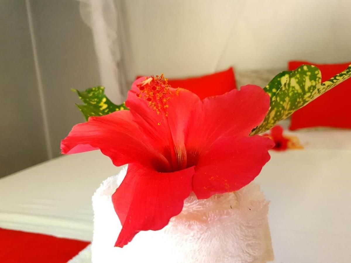 Villa Ilo Komba Nosy Komba Ngoại thất bức ảnh